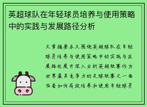 英超球队在年轻球员培养与使用策略中的实践与发展路径分析