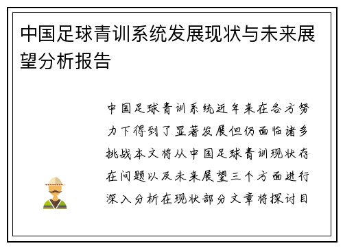 中国足球青训系统发展现状与未来展望分析报告