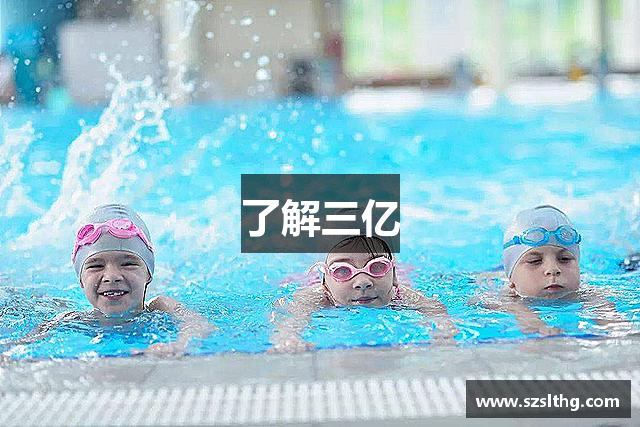 了解三亿